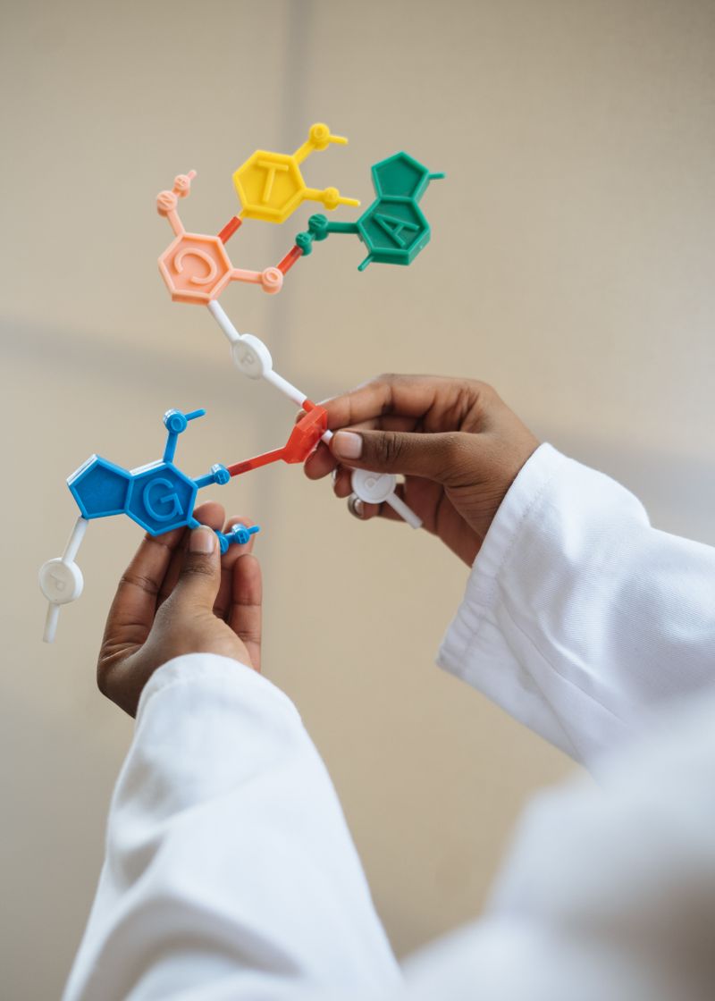 Tubos de microcentrífuga transparentes ordenados en rack de laboratorio